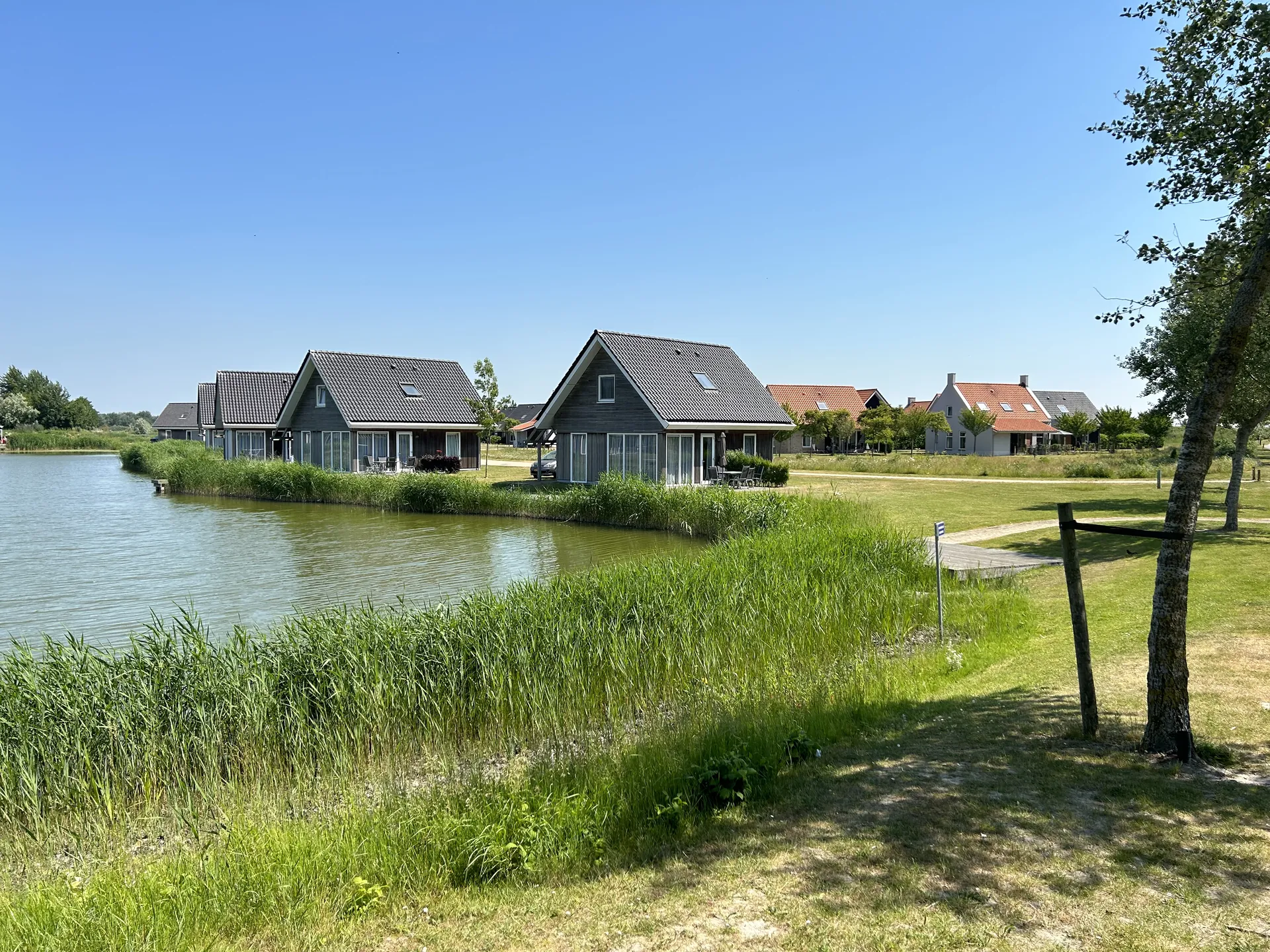 Mehrere Häuser am Wasser mit Schilfgürtel und kurzem Steg - typische Dormio-Wasserlage