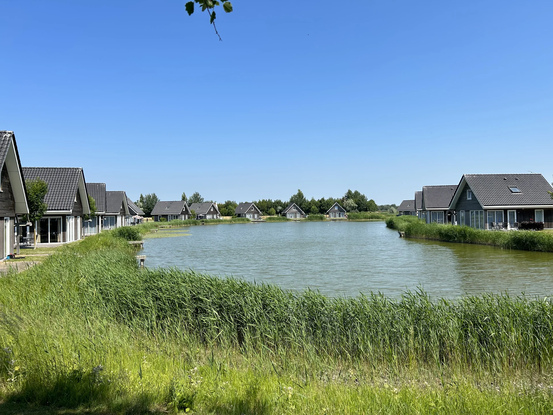 Wasserhäuser des Dormio Strand Resort Nieuwvliet-Bad rund um den zentralen Park-See in Zeeland