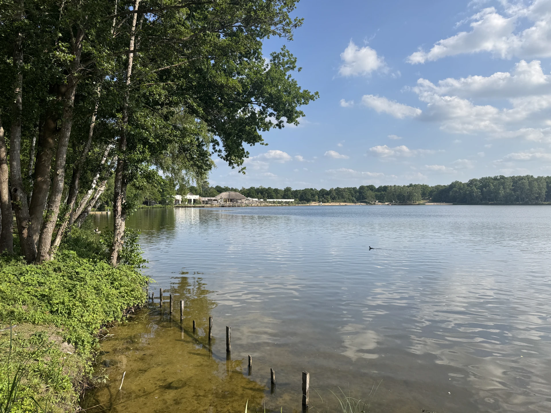 Blick über das Beeksebergse Meer vom Ufer des Lake Resort Beekse Bergen, am gegenüberliegenden Ufer der Strand des Speelland