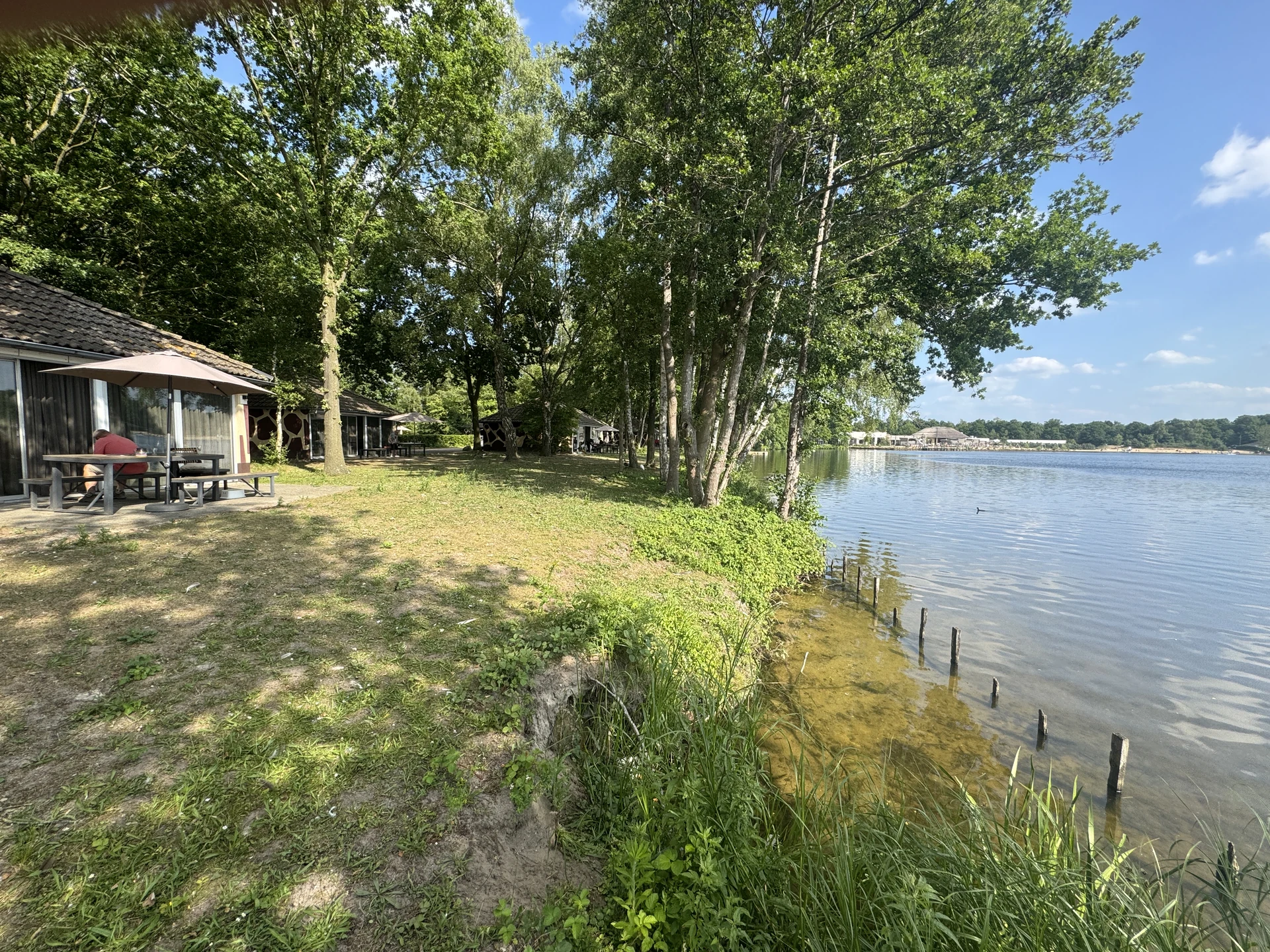 Lodges des Lake Resort Beekse Bergen direkt am Ufer mit Picknicktischen, zwischen Terrasse und Wasser liegt nur eine Wiese ohne Zaun