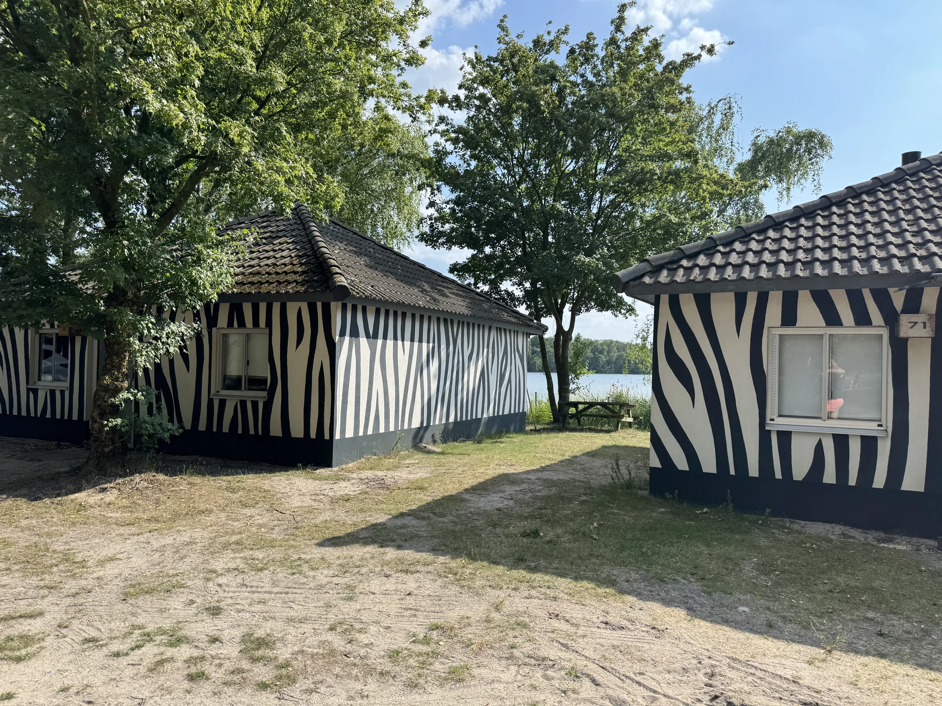 Zwei Lodges mit schwarz-weißem Zebra-Muster an der Fassade im Lake Resort Beekse Bergen, dahinter das Beeksebergse Meer
