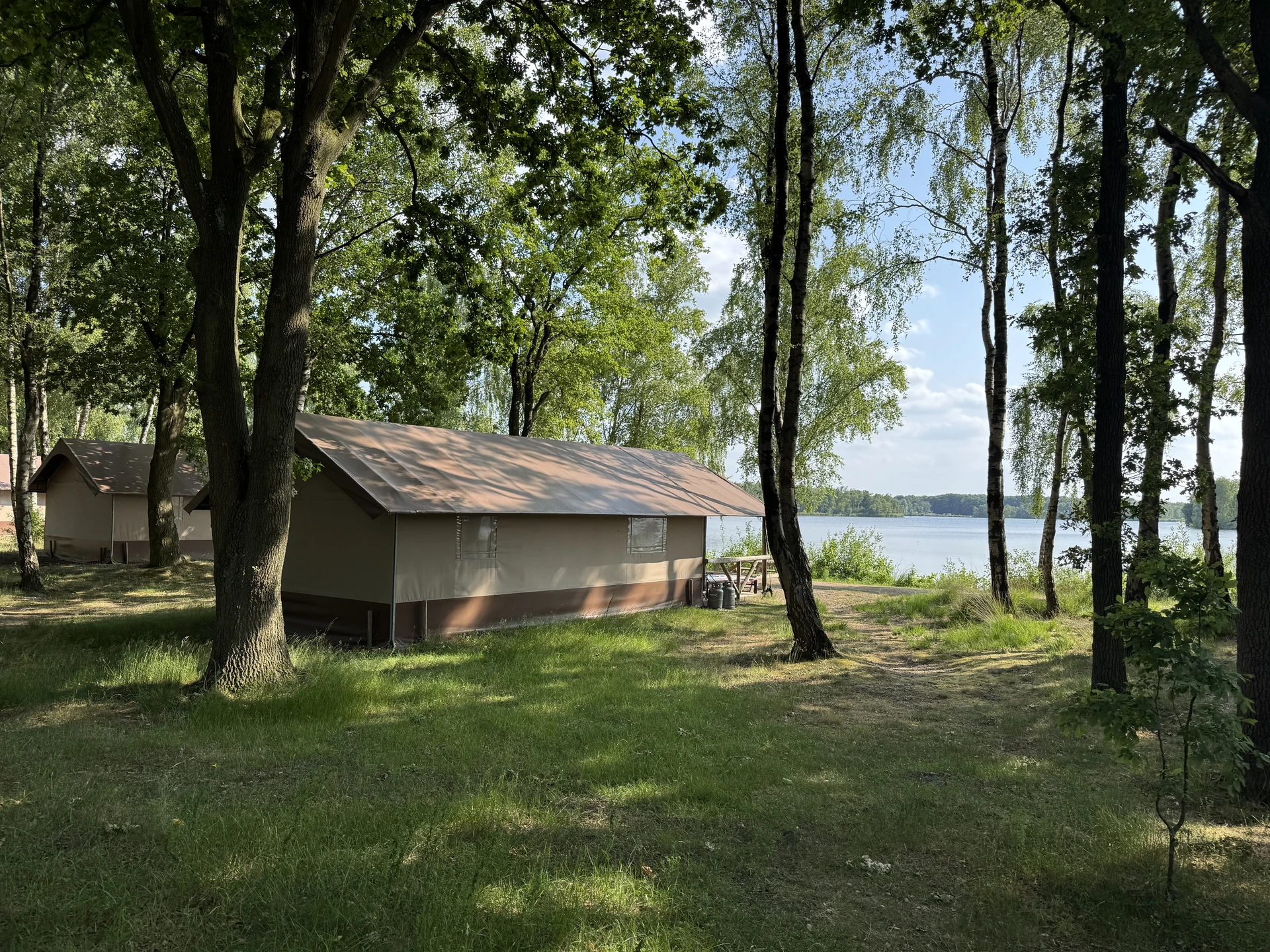 Glamping-Hütten im Lake Resort Beekse Bergen direkt am Ufer des Beeksebergse Meeres unter Birken