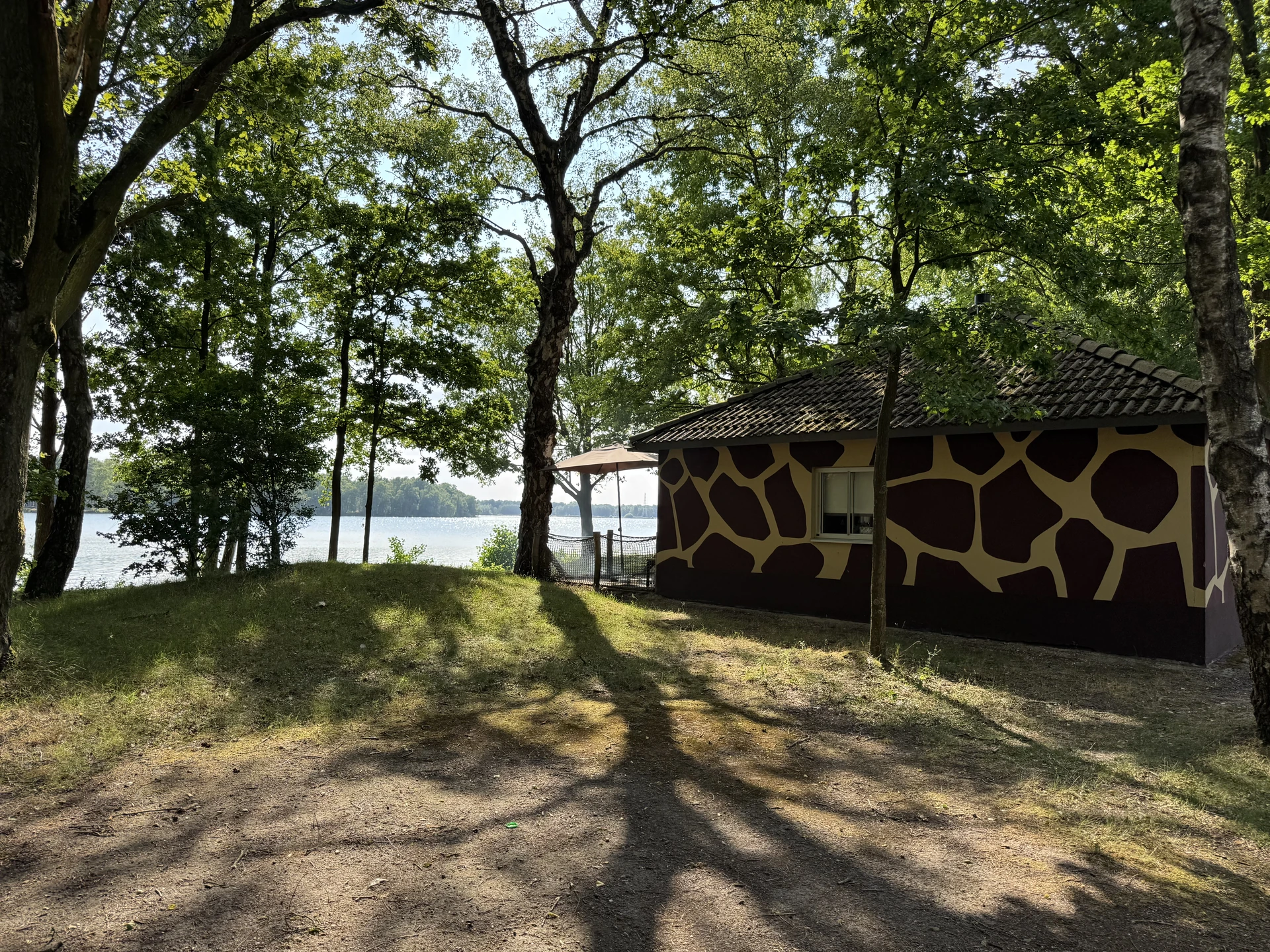 Lodge mit charakteristischer Giraffen-Fassade am Beeksebergse Meer im Lake Resort Beekse Bergen, eingebettet in lichten Birkenwald