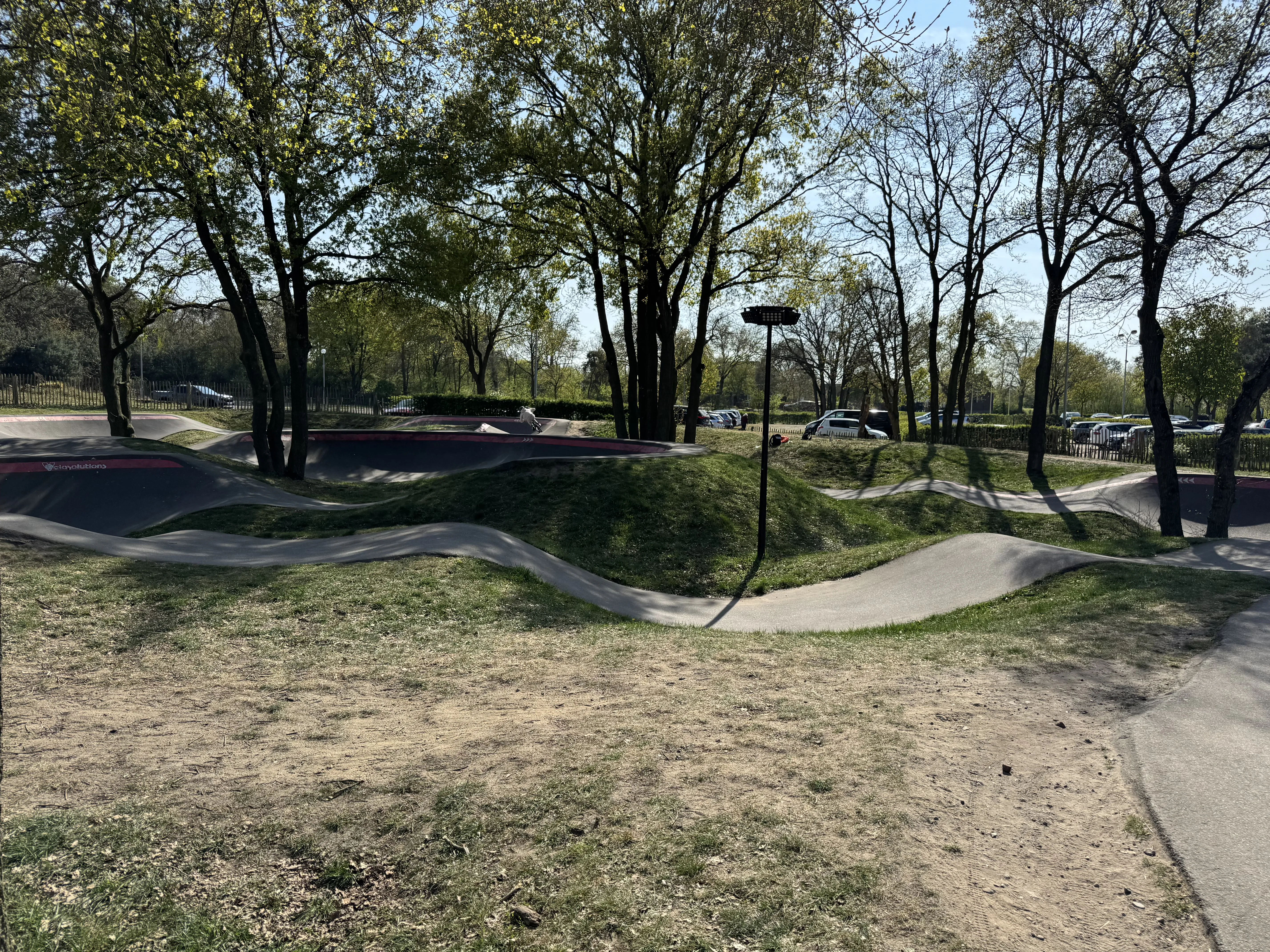 Der Pumptrack zwischen den Bäumen