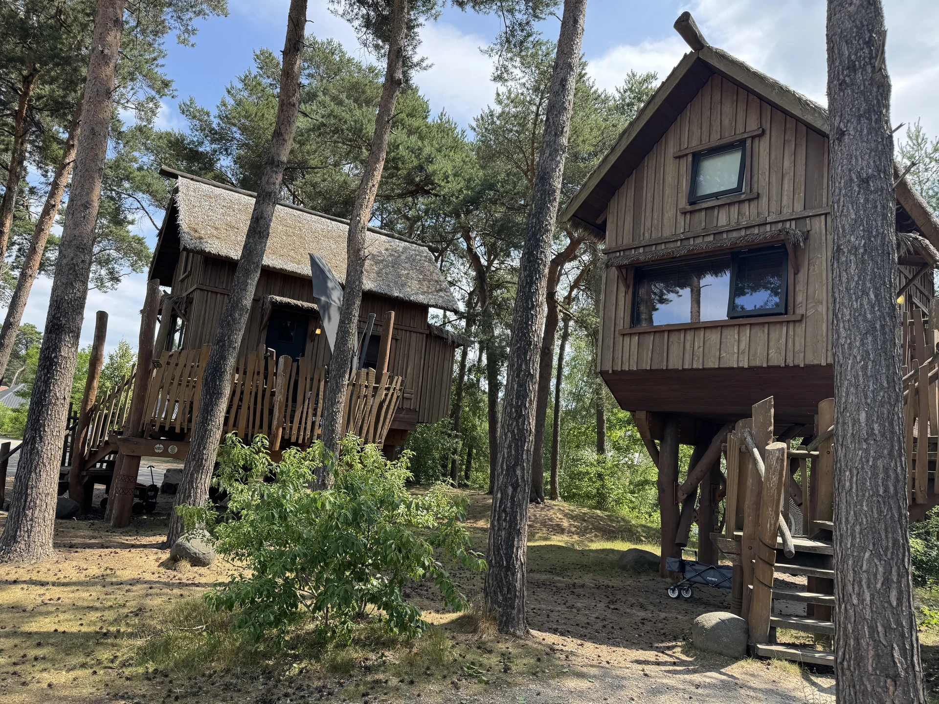 Baumhaus im Safari Resort Beekse Bergen mit Holzfassade auf Stelzen im Wald