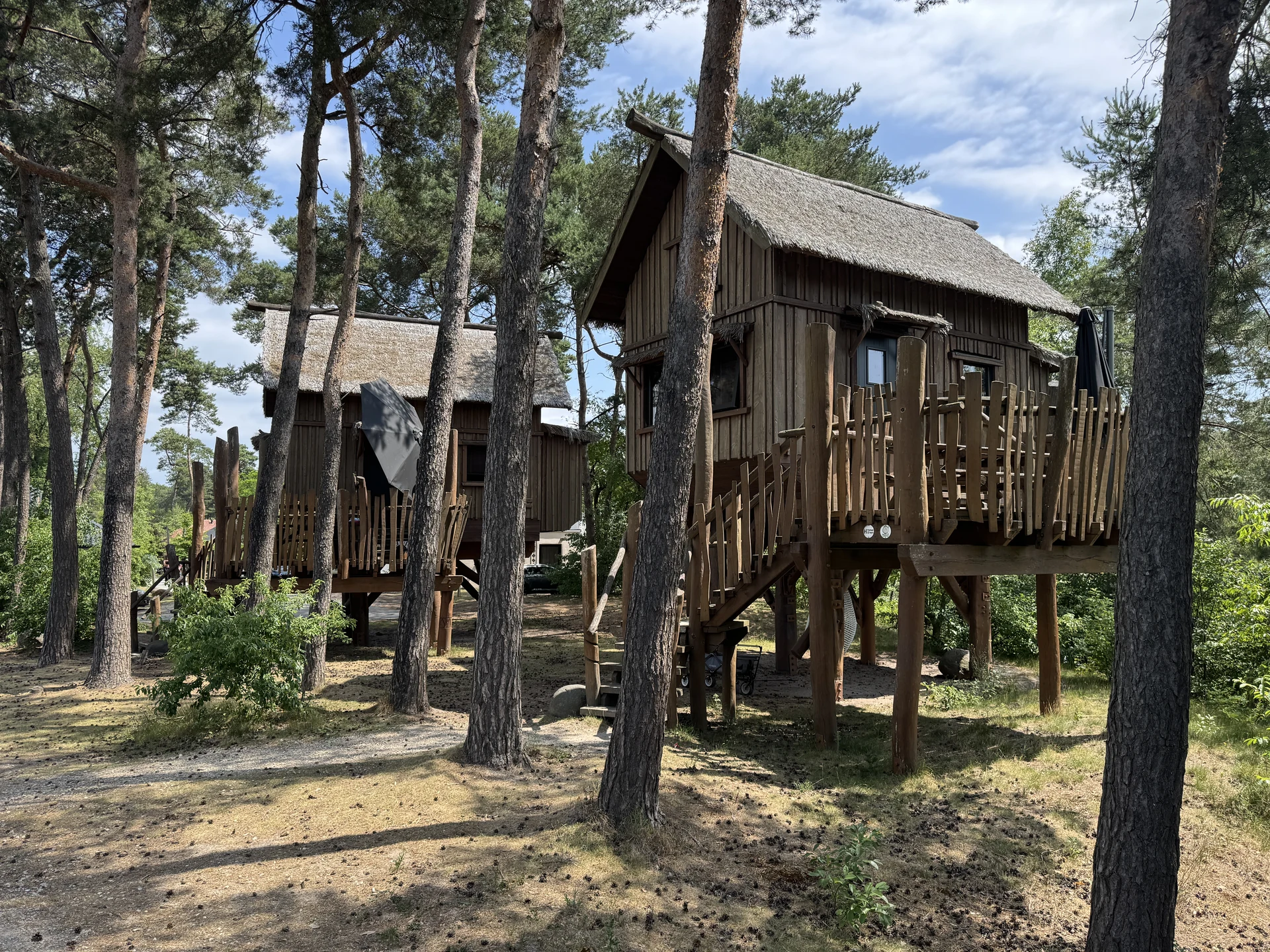 Detailaufnahme eines Baumhauses im Safari Resort Beekse Bergen mit Holzveranda und Geländer