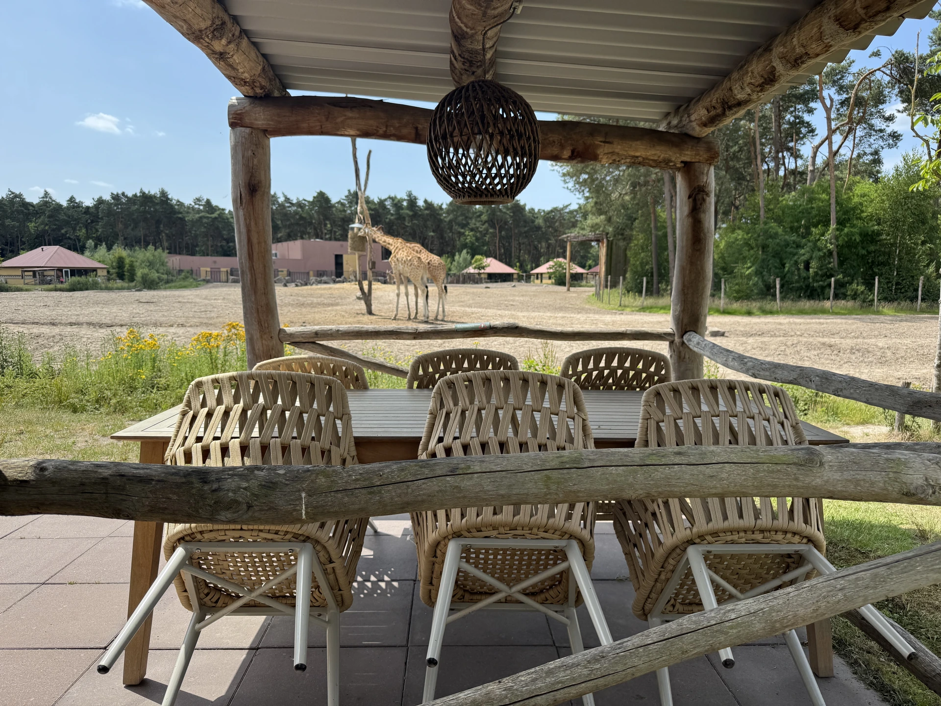 Esstisch auf der überdachten Ferienhaus-Terrasse im Safari Resort Beekse Bergen mit direktem Blick auf zwei Giraffen im Privatgehege