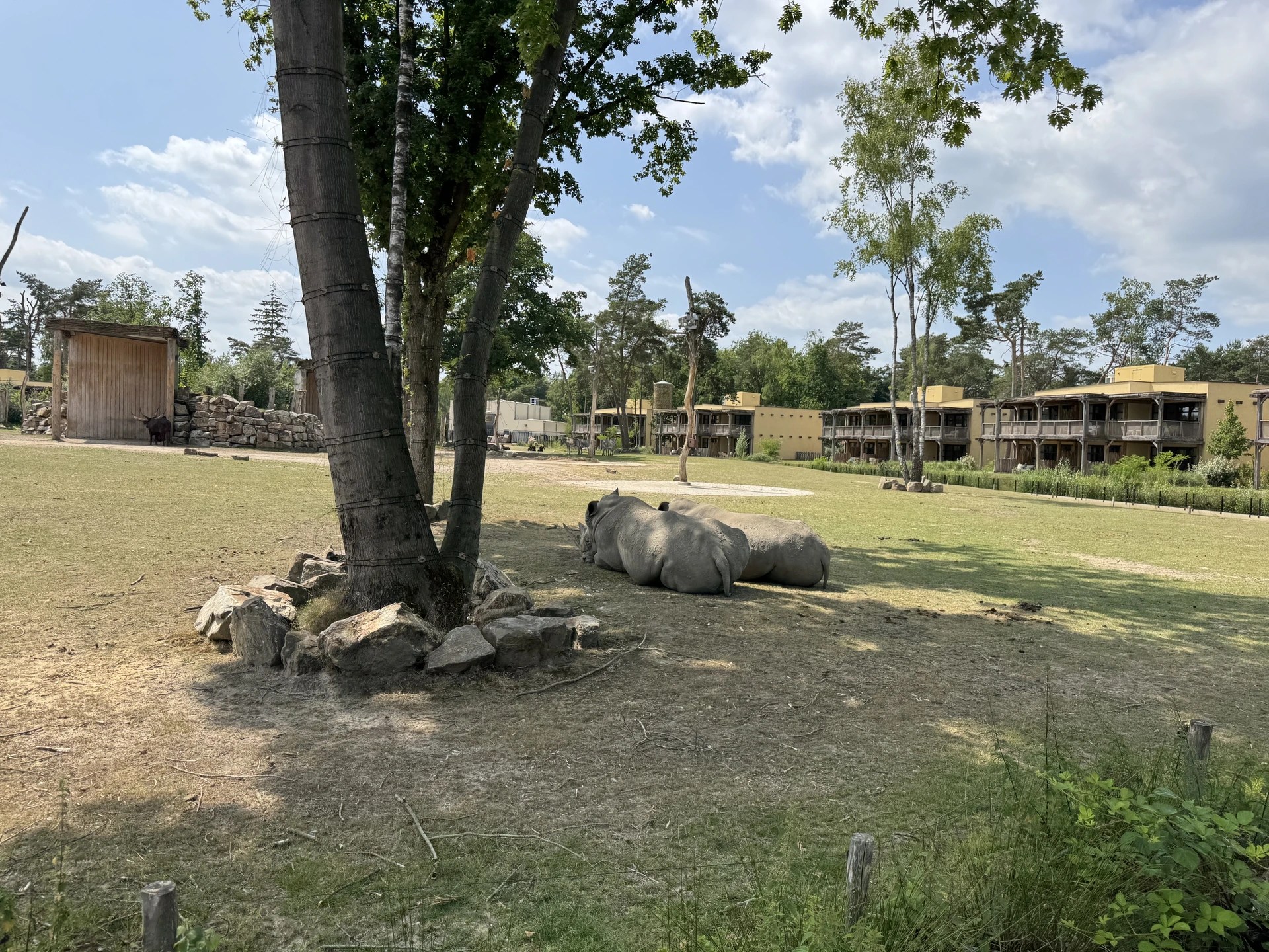Apartmenthaus im Safari Resort Beekse Bergen mit Balkonen und direktem Blick auf Nashörner im Privatgehege