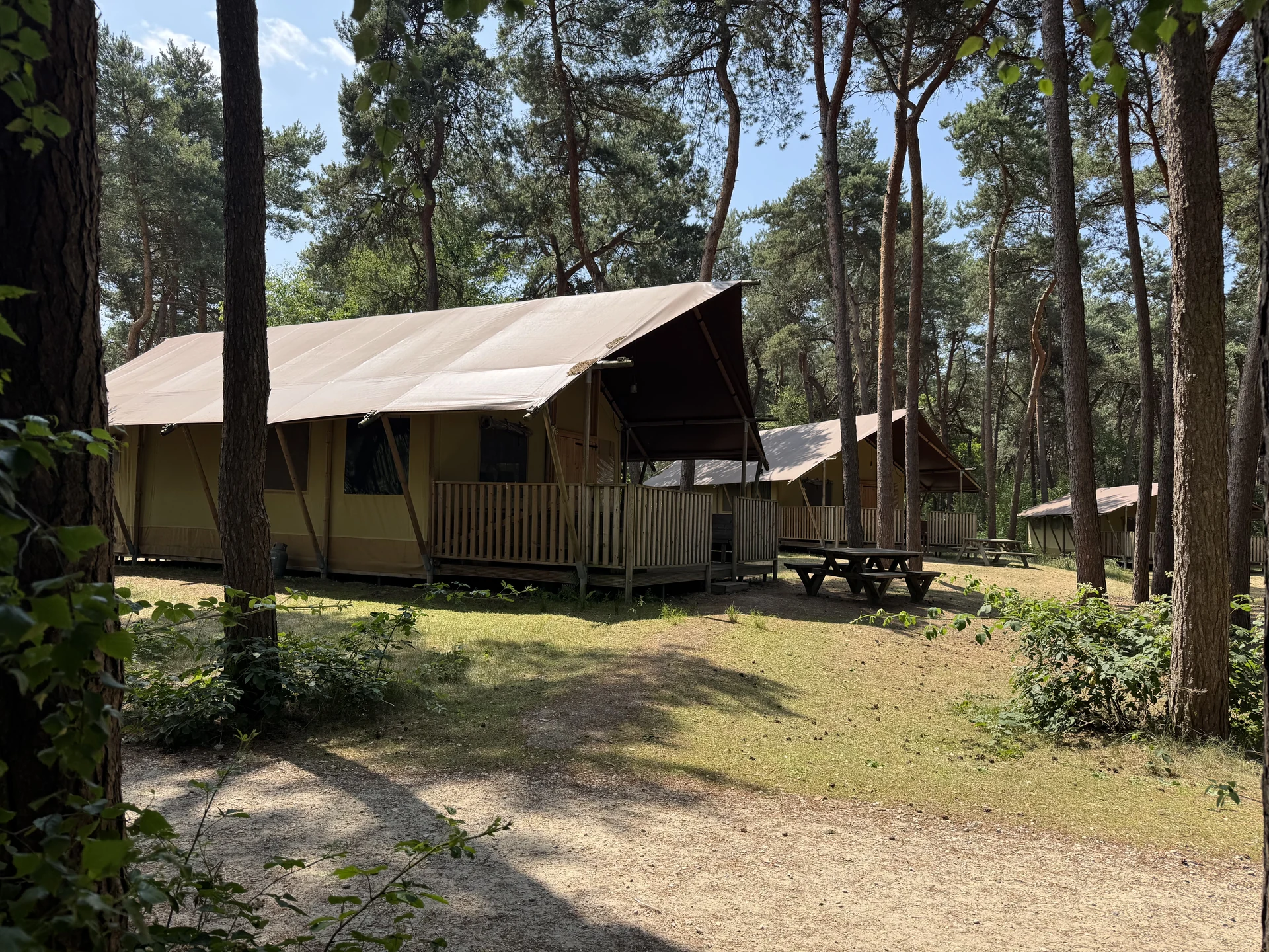 Safarizelte im Safari Resort Beekse Bergen mit direktem Blick auf das Tiergehege im Hintergrund