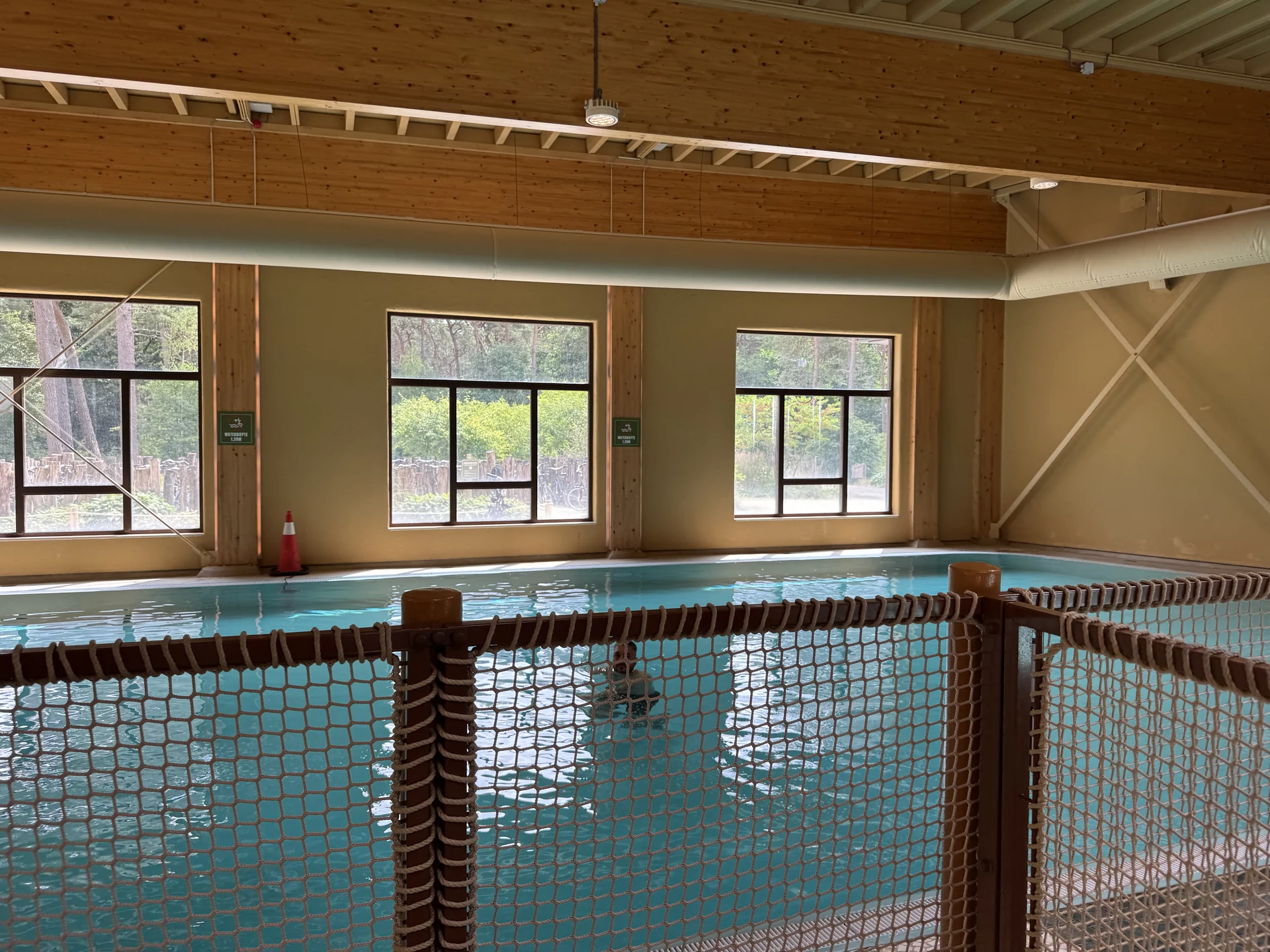 Rechteckiges Schwimmbecken im Maji Springs des Safari Resort Beekse Bergen in einer Holzhalle mit Fenstern zum Kiefernwald und Seilnetz-Geländer