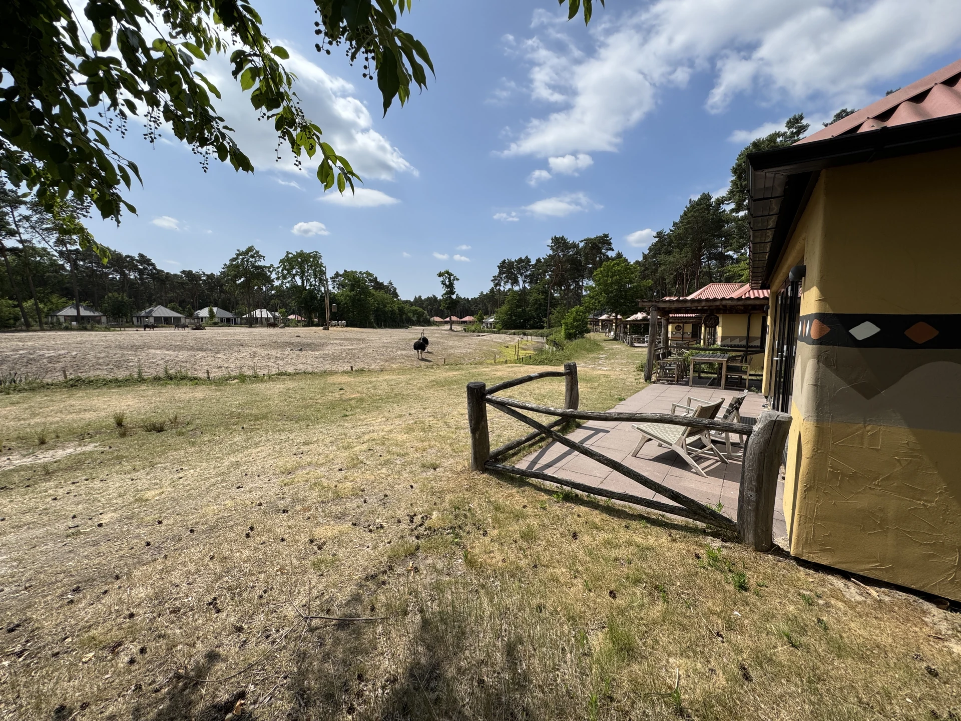 Blick von der überdachten Terrasse eines Ferienhauses im Safari Resort Beekse Bergen quer über das Gehege mit Giraffen am Waldrand