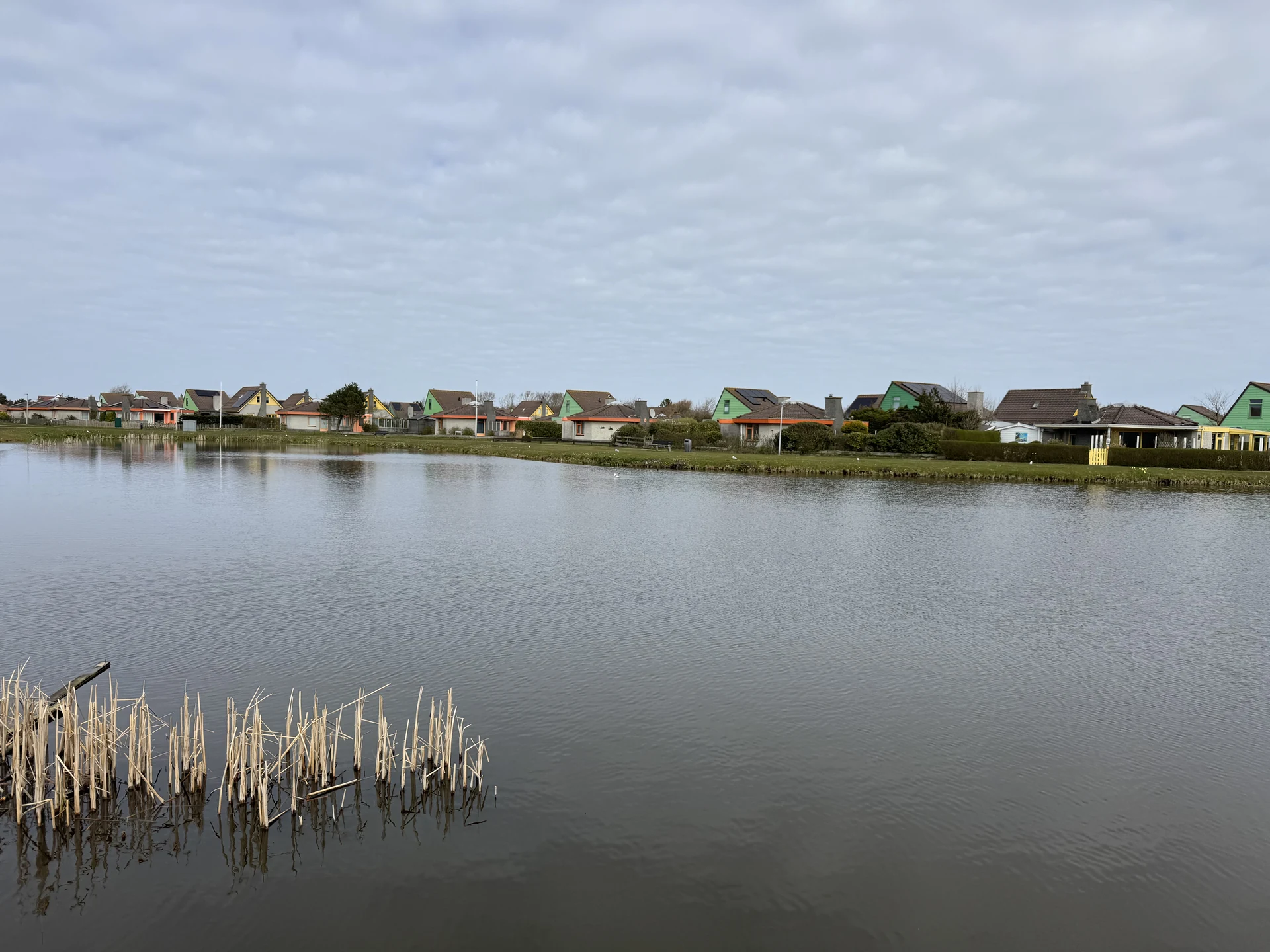 Teich im Bungalowpark Strandslag mit Schilfgürtel